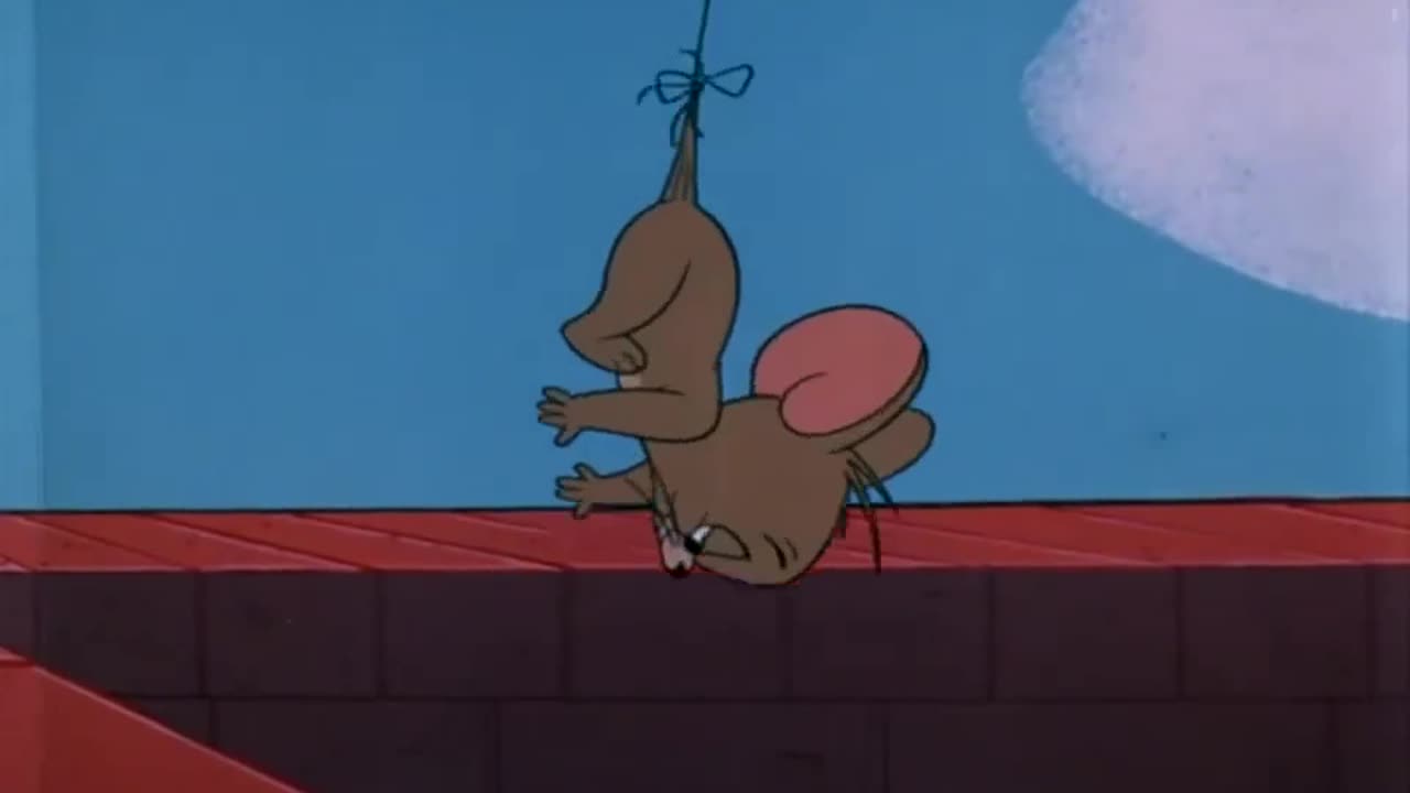 Tom & Jerry l Jerry take care tom