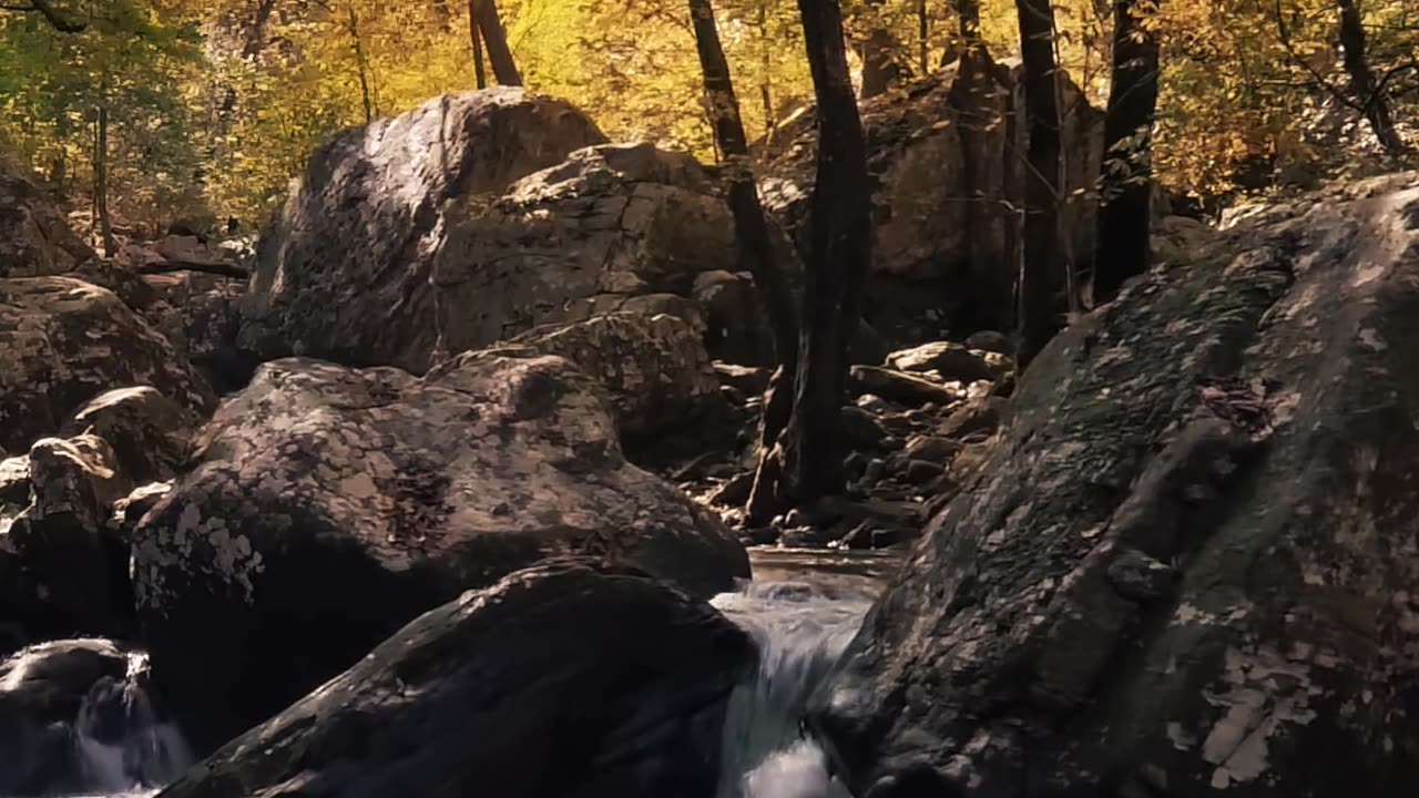 A Rocky River in the Forest