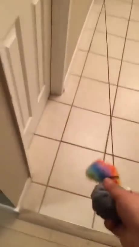 perpetual motion machine