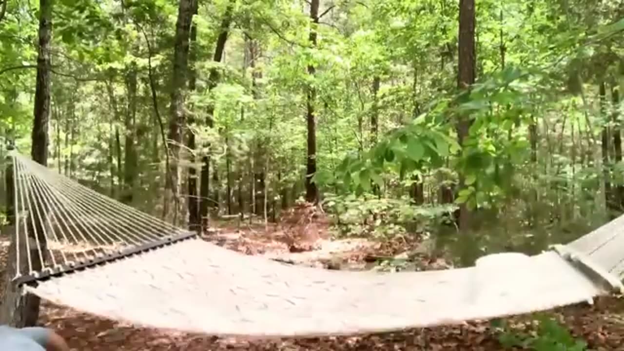 Funny Video Compilation