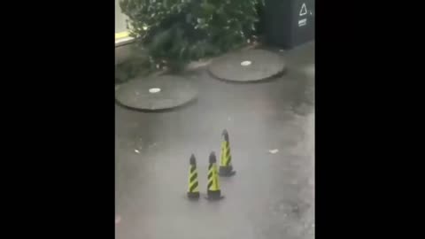 Dancing Cones