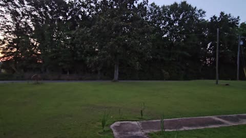 GSG Porch Report 030623 smart bunny knows