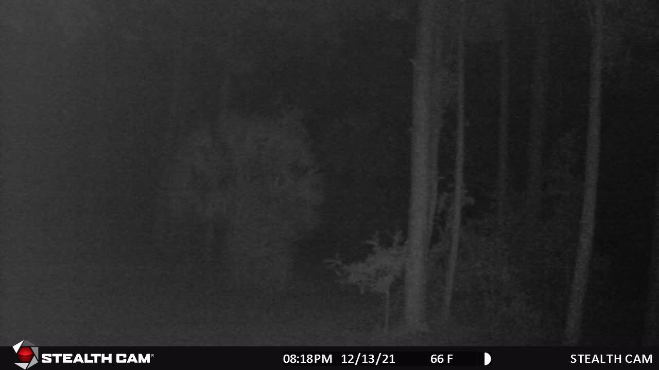 Graveyard watch -Hunt for paranormal!