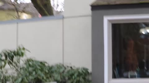 FIRST AMENDMENT AUDIT AT A STATE MENTAL HEALTH PLACE