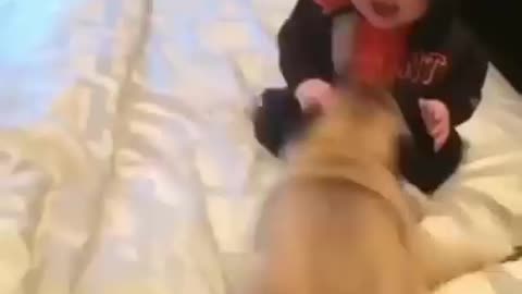 Dog🐕️funny masti step by baby lappina dancing😂😂