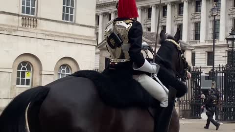 Queen’s Guard Horse Goes Crazy