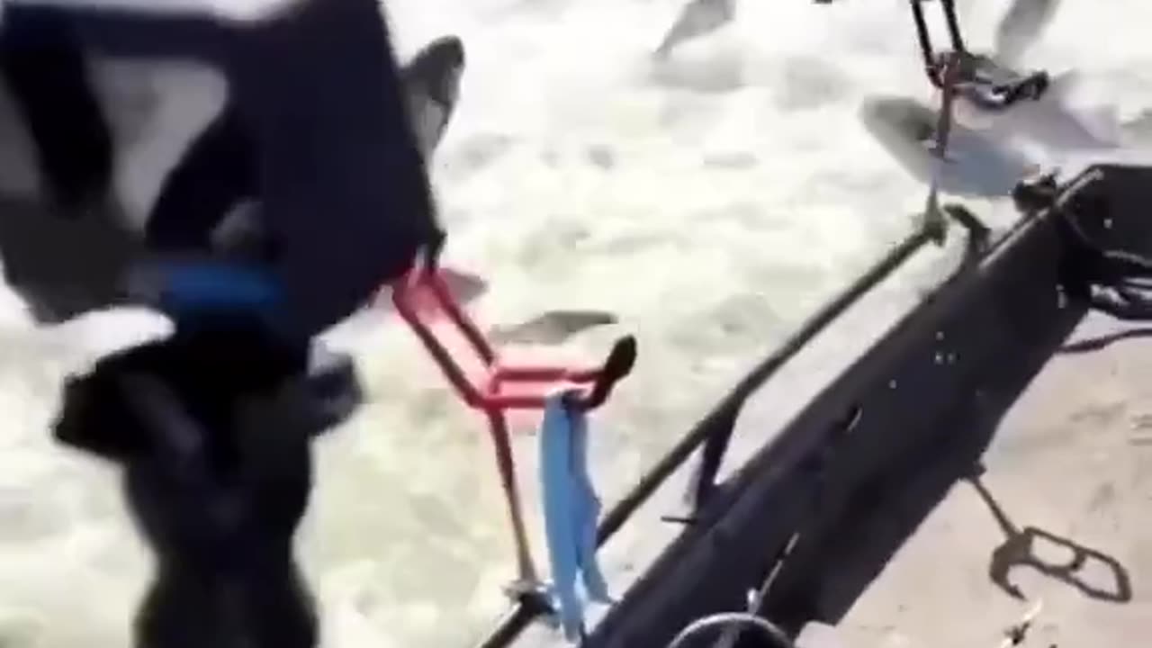 Huge fish flying to the boat.