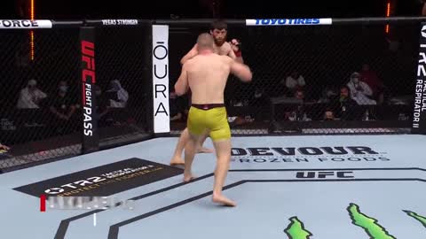 Magomed Ankalaev _ Top Knockouts