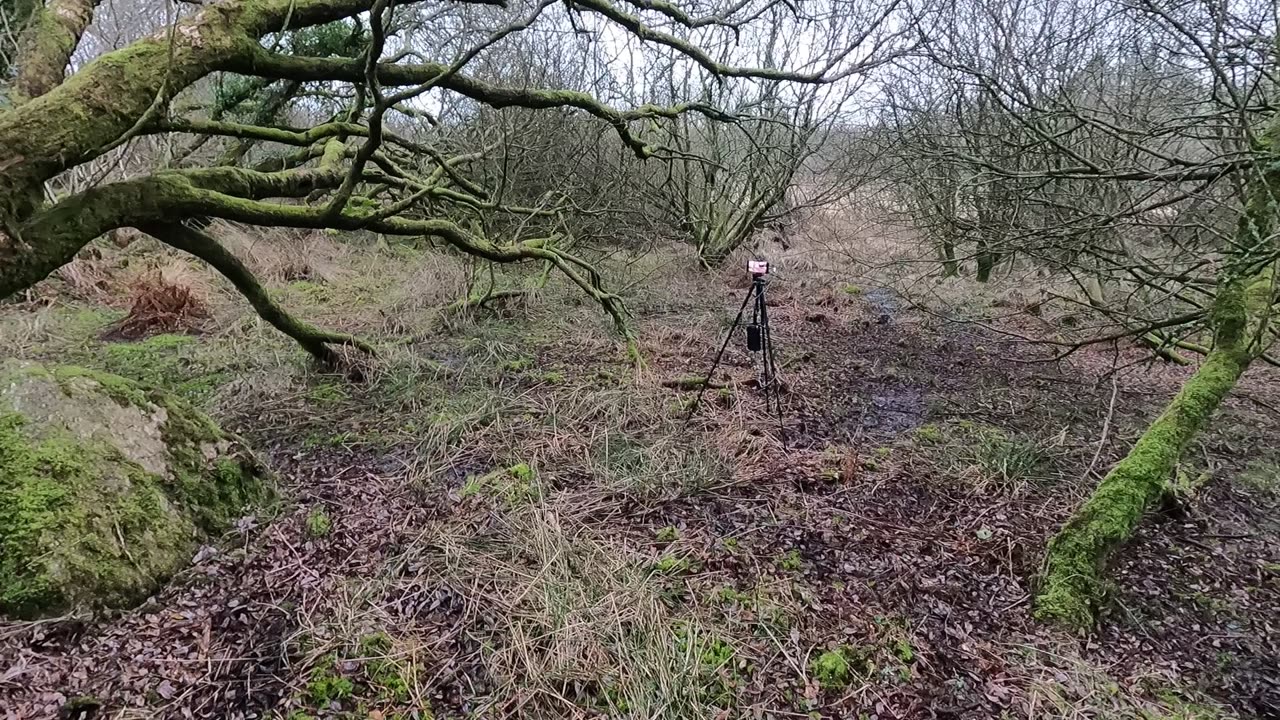 Let's start again. POV GoPro wildcamping 22nd March 2023