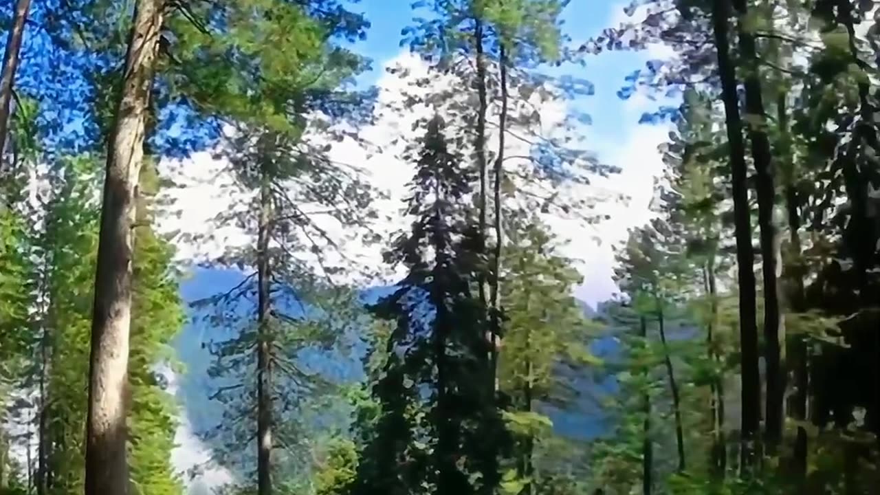 You found Yourself being lost in nature