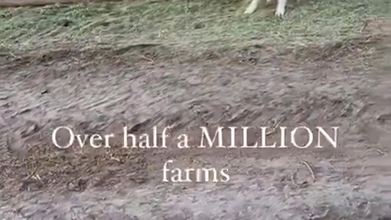 US farmers lost over half a million farms, gone!!! What for???