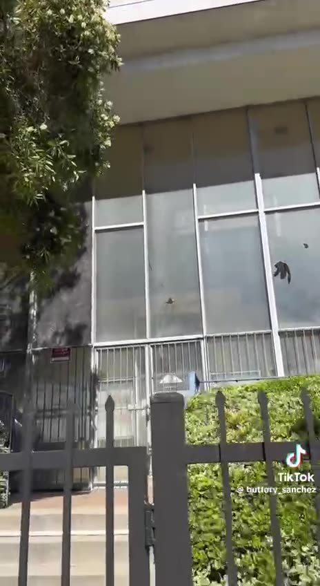 L.A.'s Hidden Oil Wells