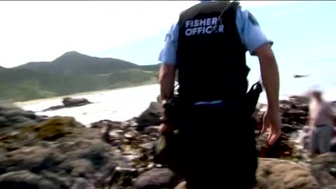 Angry Divers Lose It With Officers