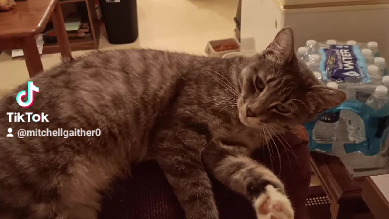 Misc