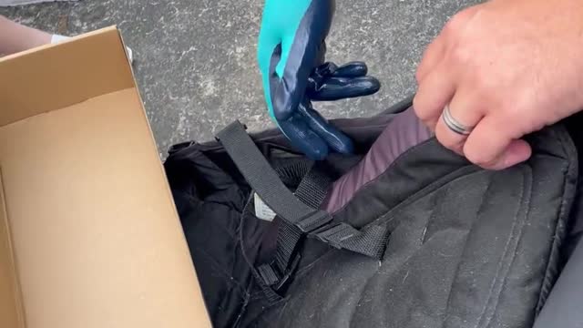 Baby Bat Stows Away on Stroller