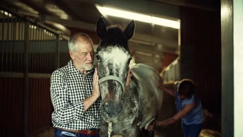 A joyful senior couple petting a horse in a stable