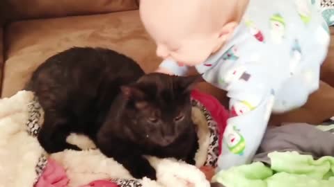 Cat funny vidio 😼😺cat funny vidio 2021