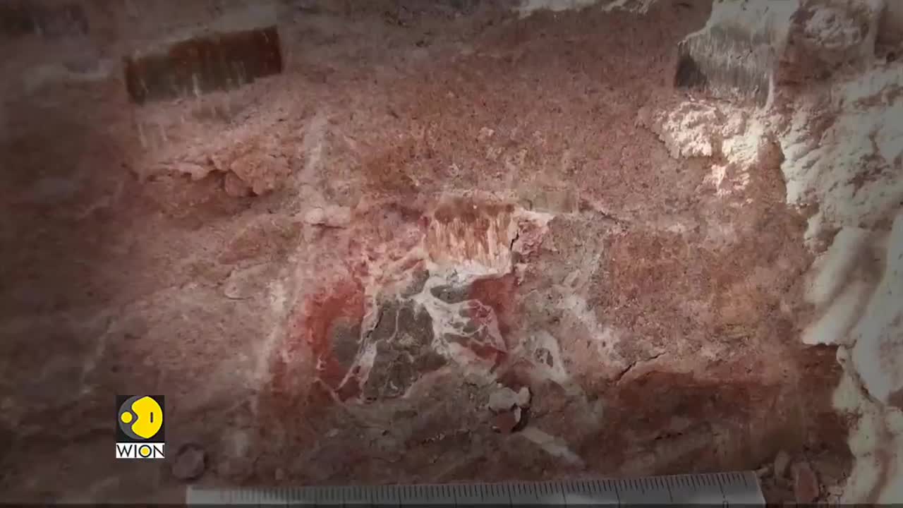 Kurupi Itaata- A New dinosaur species discovered in Brazil | WION English News