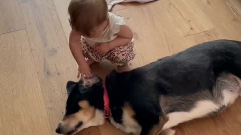 Best friends forever 💖 #dog #dogs #chien #kids #baby #kidsanddogs #love #friendship #forever