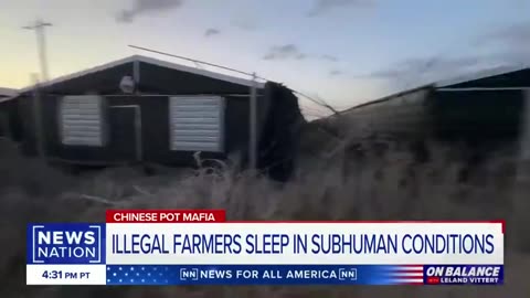 CHINESE INVADERS ARE COMING ACROSS OUR BORDER AND HEADED TO OKLAHOMA TO GROW WEED ILLEGALLY