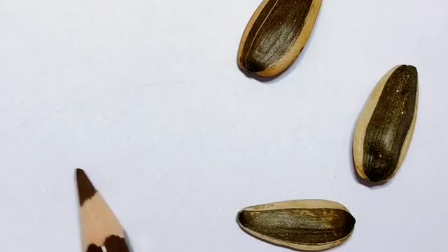 Satisfying Art Drawing Ideas | Creative Amazing Art, Watercolour & Acrylic Drawing #shorts