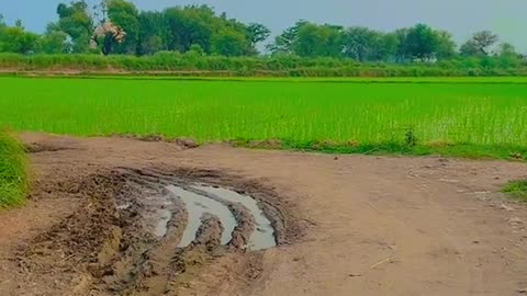 Beauty of village