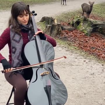 Music: The Universal Language