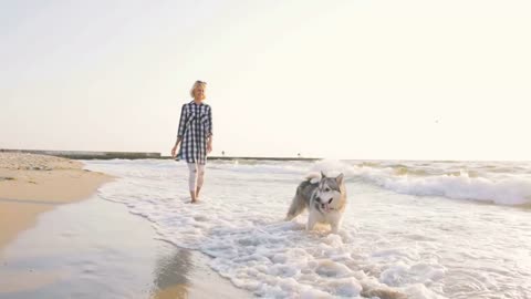 Young female playingwith siberian husky dog on the beach at sunrise