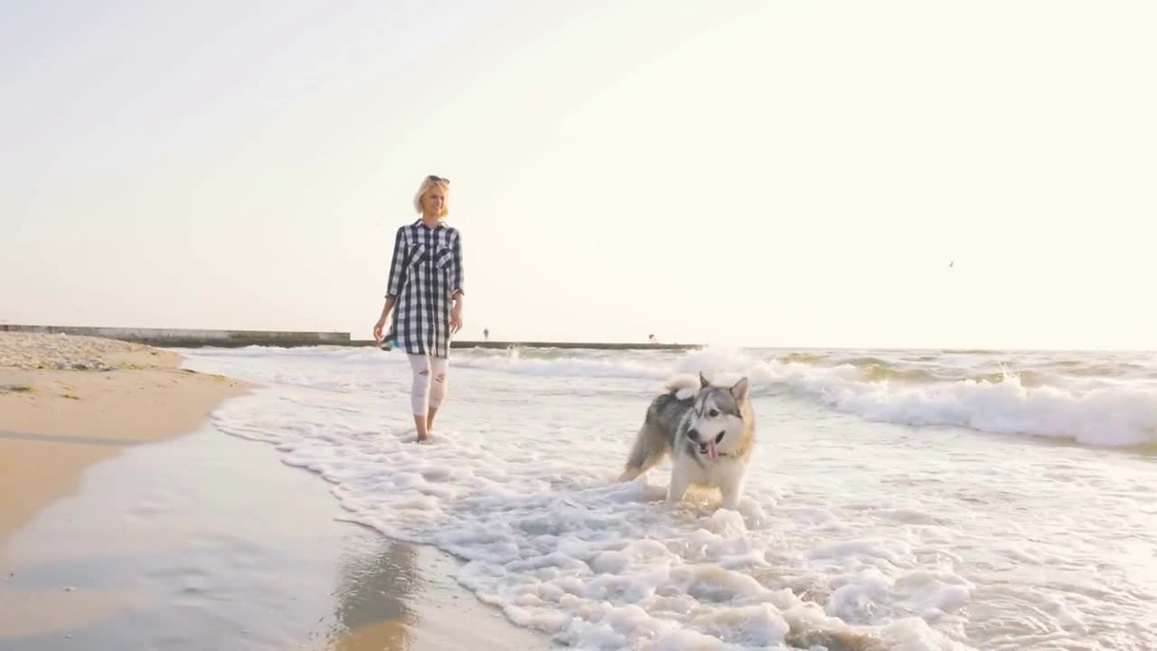 Young female playingwith siberian husky dog on the beach at sunrise