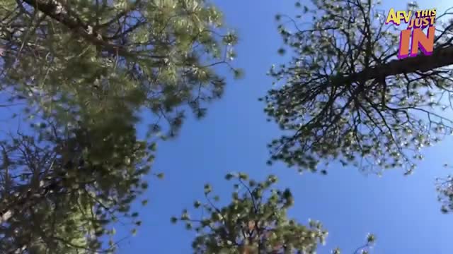 Try Not To Laugh Challenge! 😂 Funniest Fails of the Week | Live AFV