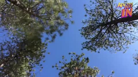 Try Not To Laugh Challenge! 😂 Funniest Fails of the Week | Live AFV