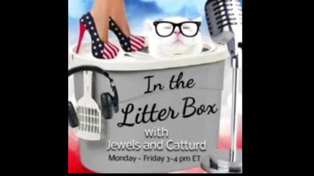 James O'Keefe | Project Veritas | Muckraking In the Litter Box w/ Jewels & Catturd 1/19/2022 - Ep. 1