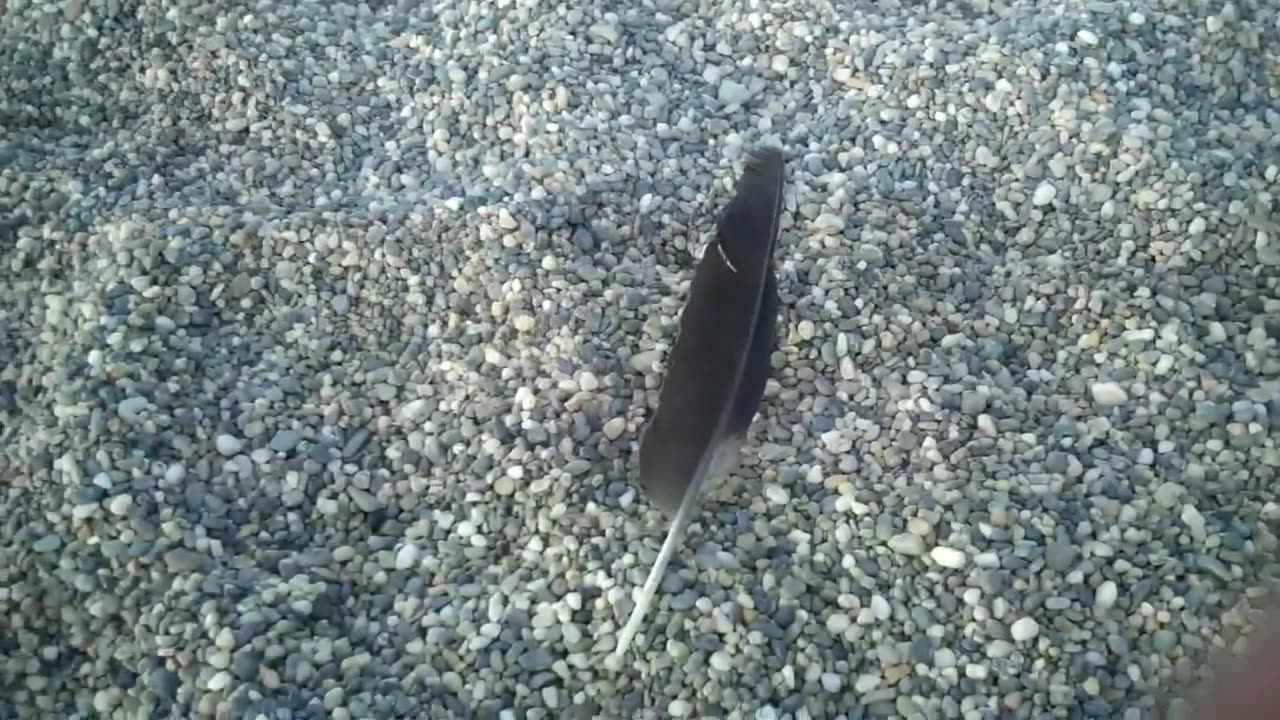 Season 2 , 49th metal detecting hunt of 2012 , Arctic light elementary playground
