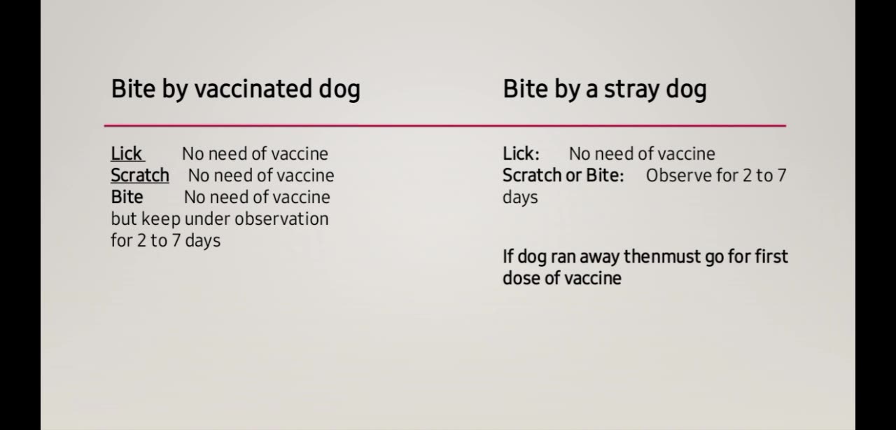 management-of-dog-bite