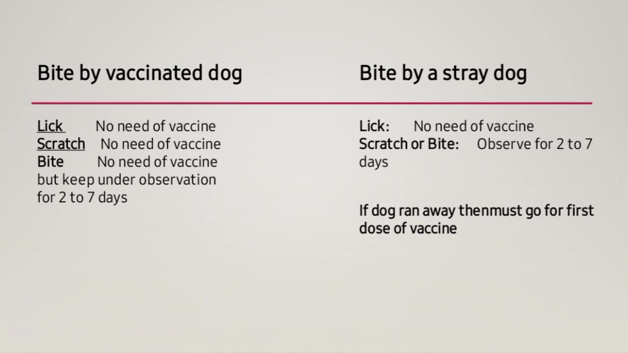 Management of Dog bite