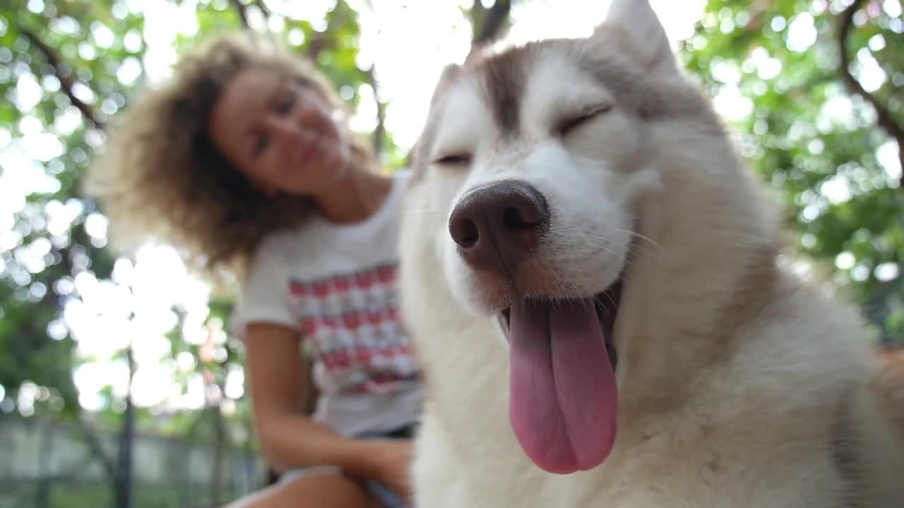 Woman with Smiling Husky Dog Outdoors