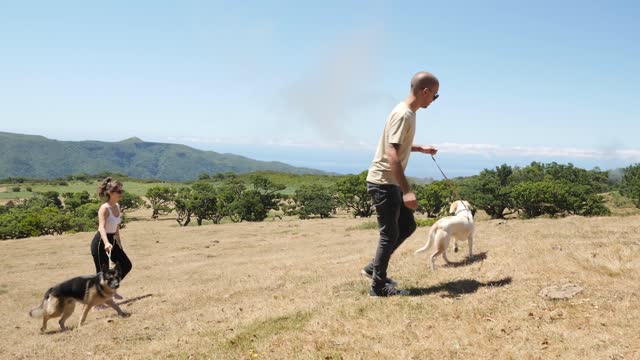 Walking the dogs in nature