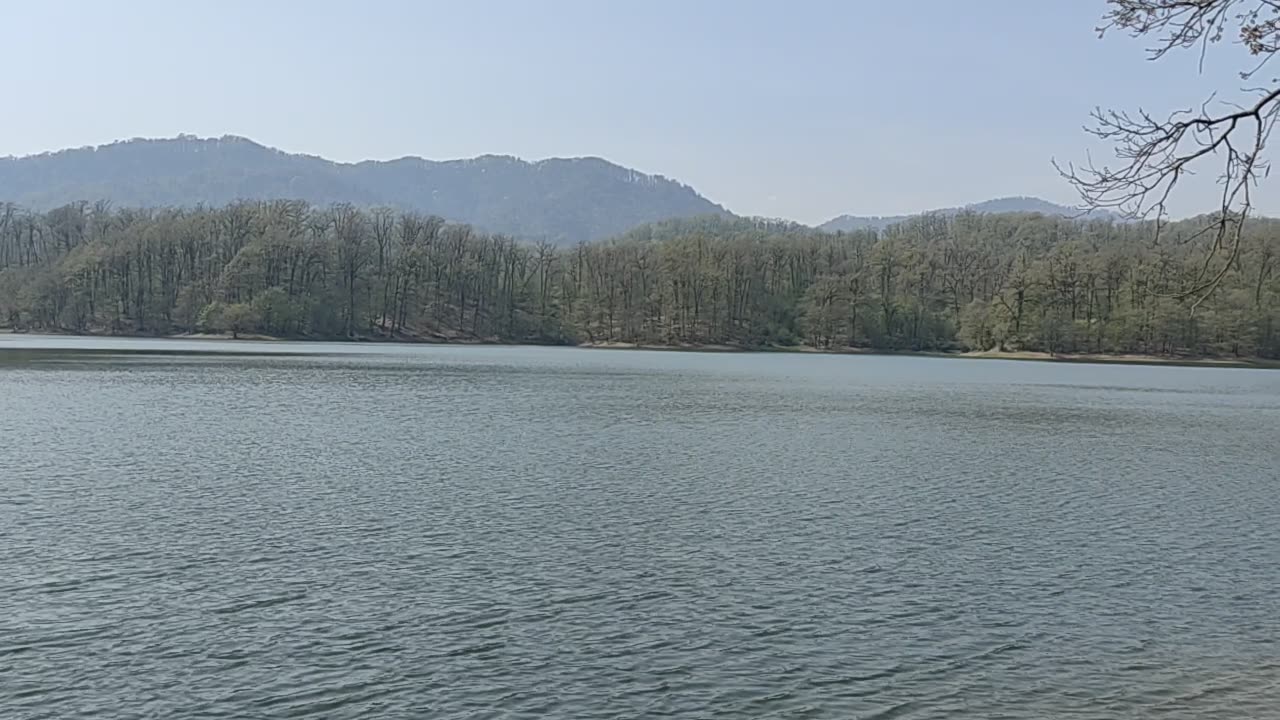 The nature of the world #7