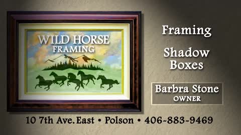 Wild Horse Framing