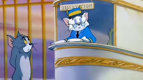 Tom & jerry cartoon