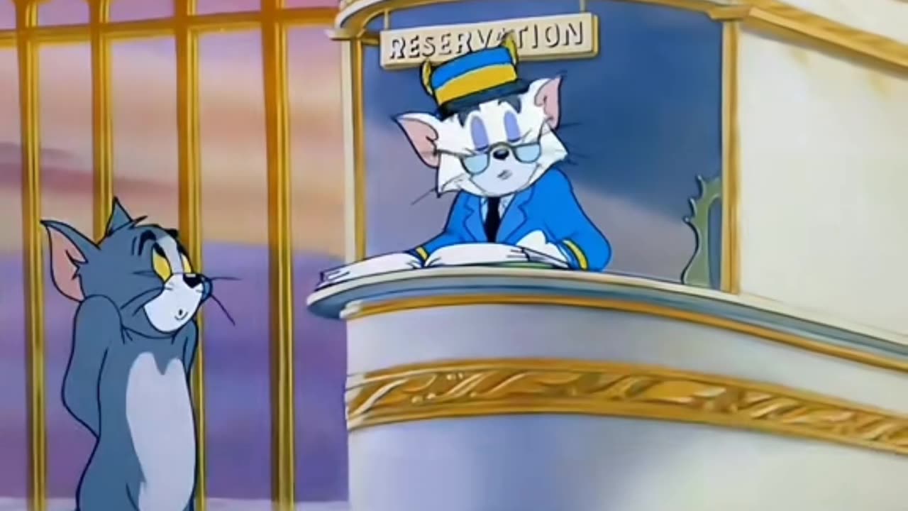 Tom & jerry cartoon