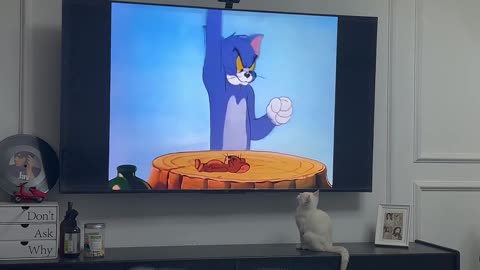 Can you play the TV?