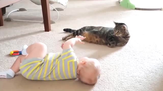 Sweet Baby Playing With Cat Remi