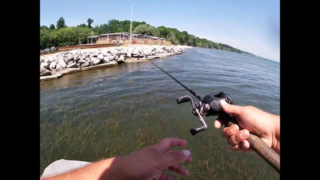 Flippin' the Grass for LPB Bass