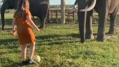 Playing football with an elephant