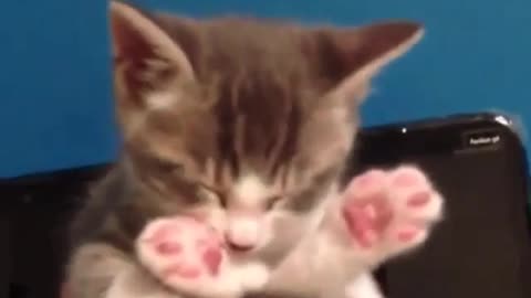 Funny Short Video Collection 1 (36)