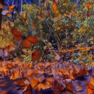 Journey to the Mysterious Depths of the Deep Ocean