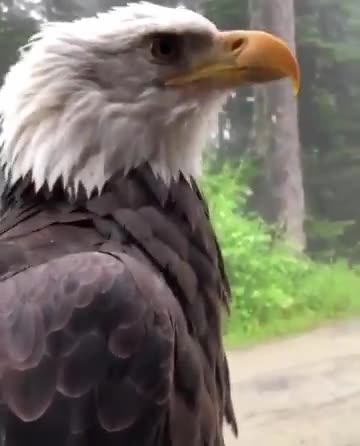 Dreams - Gateways to Heavens - The Forgotten Secret Language of God