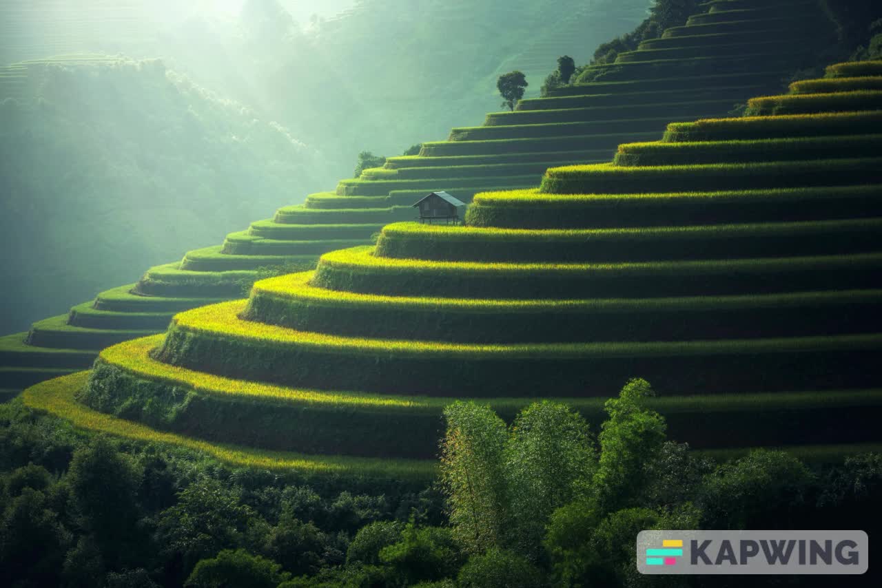 Spiritual Ascension Music | Healing Voices | Sleep Background - Meditation - Reiki - Yoga - Study