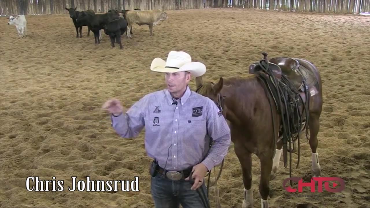 How To Teach A Cutting Horse Horse To Spread His Hind Feet With Chris Johnsrud